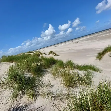 De Vischer Un Sin Fru *